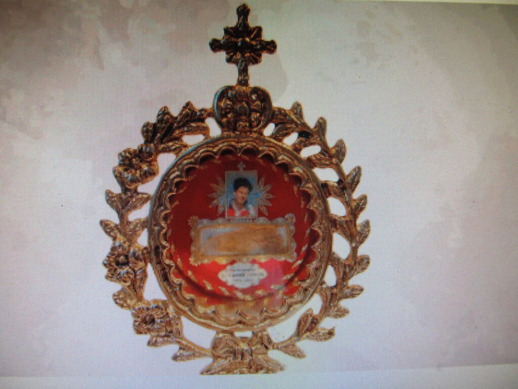 Kennen Sie Carlo Acutis, der am 7. September Heiliggesprochen wurde?