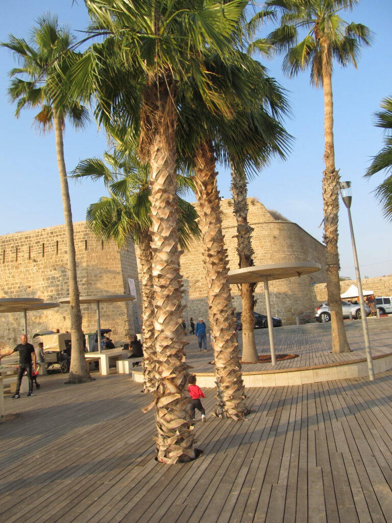 Die israelischen Geiseln sind freigekommen – das hat diese Woche sehr berührt